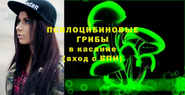 тгк Горно-Алтайск