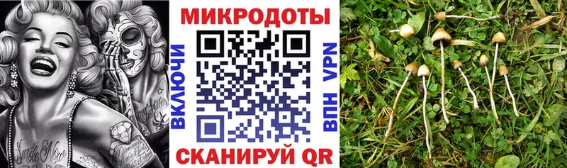 Псилоцибиновые грибы MAGIC MUSHROOMS  Монино 